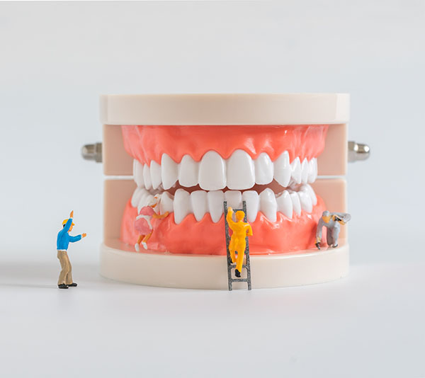Tooth Stories Denture